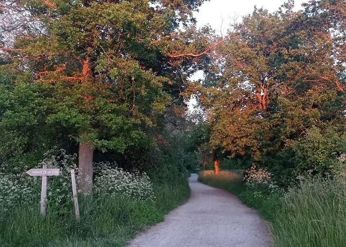 Le Havre Des Sables Vakantiehuis